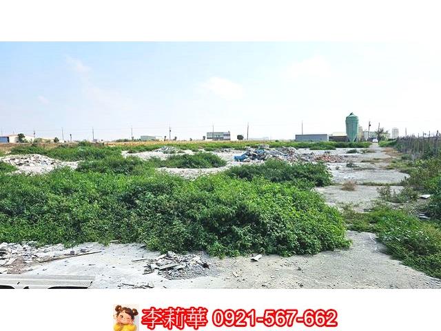 台南養雞場-12