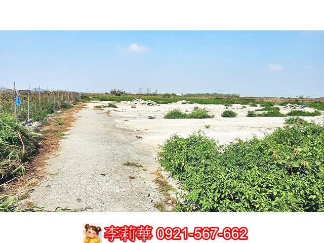 台南養雞場-13