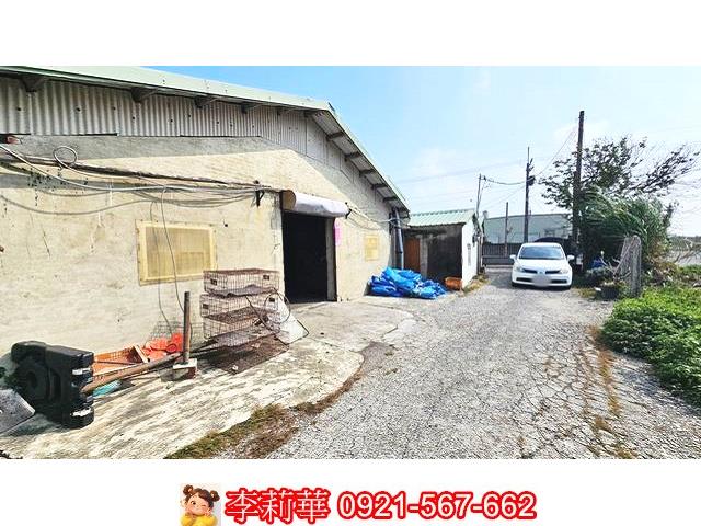 台南養雞場-3