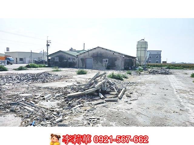 台南養雞場-9