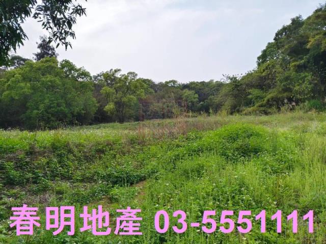 香山農舍-11