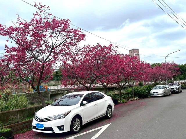 中壢別墅-1