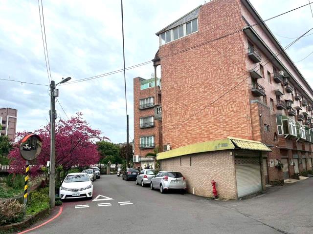 中壢別墅-2