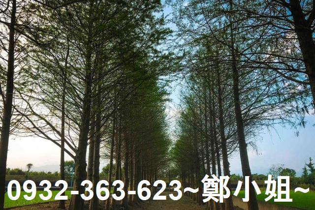 宜蘭農舍-6