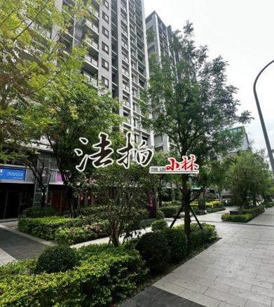 太平法拍大樓-2