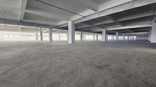 新屋廠房-4