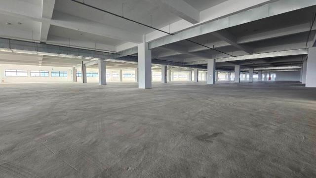 桃園新屋廠房-3
