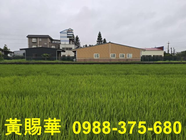 桃園農舍-2