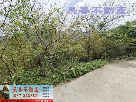 苗栗農地-1