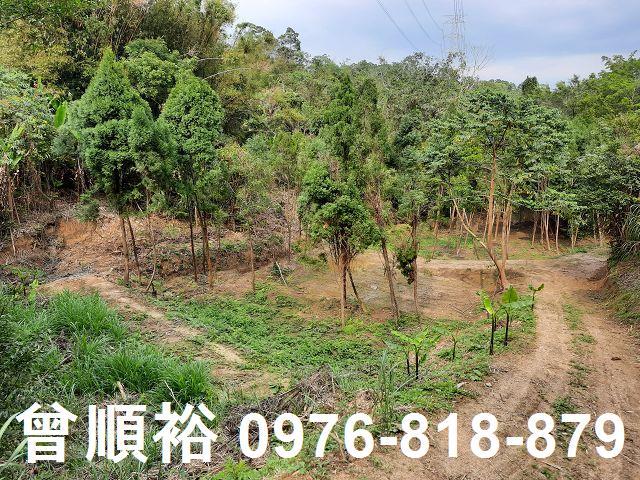 竹東農地-12