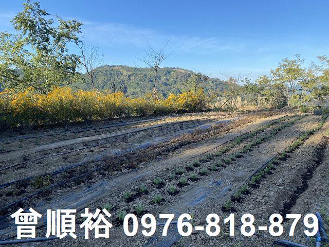 新竹尖石農地-11