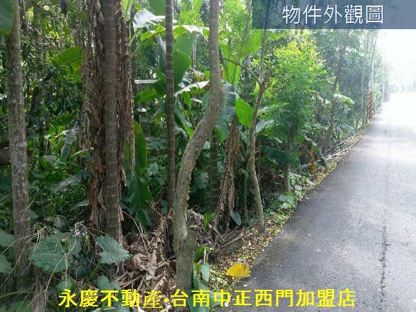 白河農地-1