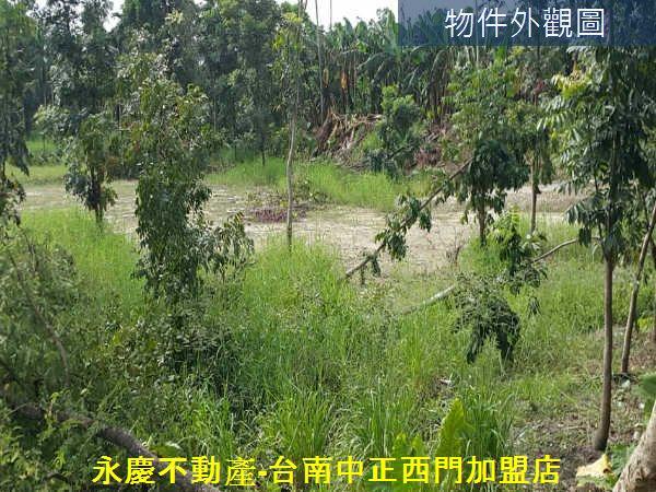 白河農地-5