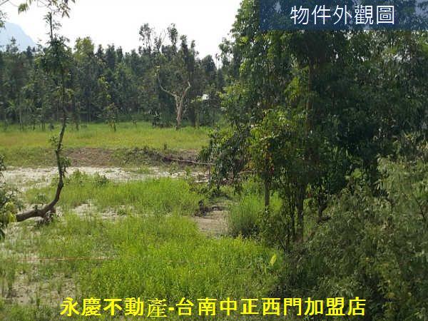 白河農地-6