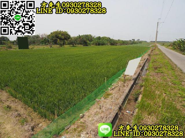 台南新化農地-4