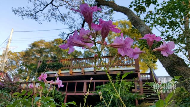 峨眉農地-11
