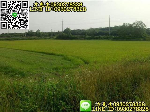 新化農地-9