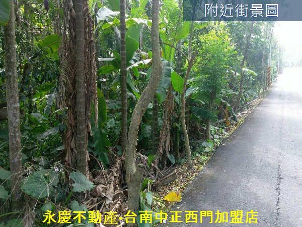 白河農地-5