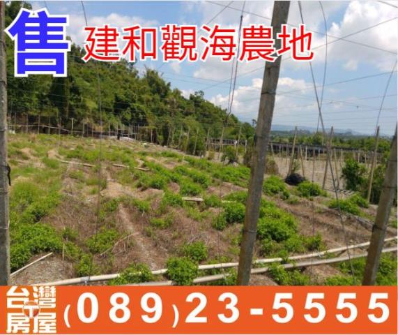 建和觀海農地