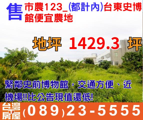 台東台東市農地-1