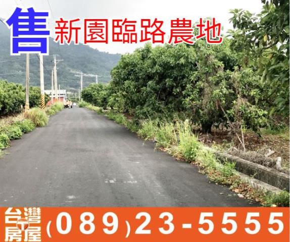 新園臨路農地