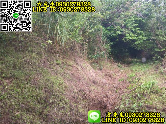 關廟農地-3