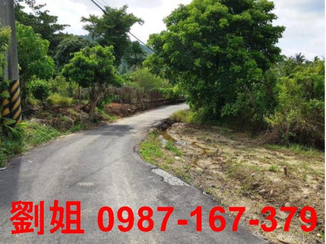 內門農地-3