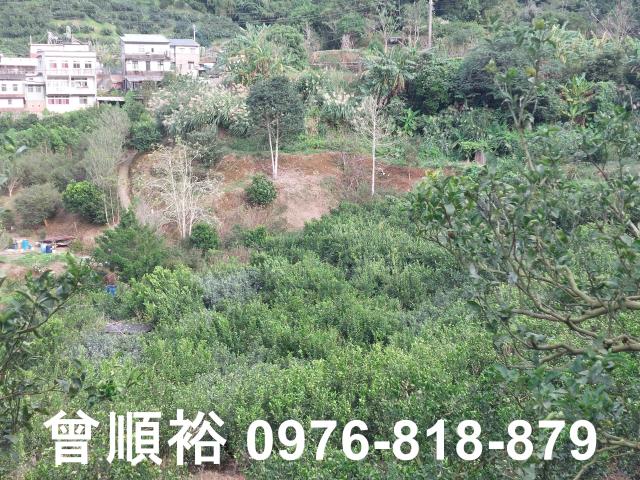 竹東建地-11