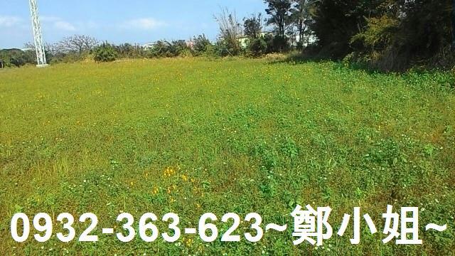 桃園新屋農地-6