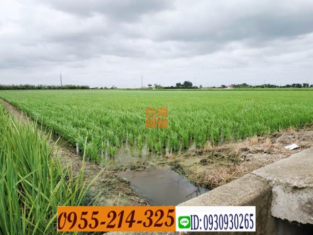嘉義鹿草農地-5