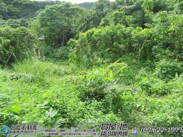 高雄內門農地-11