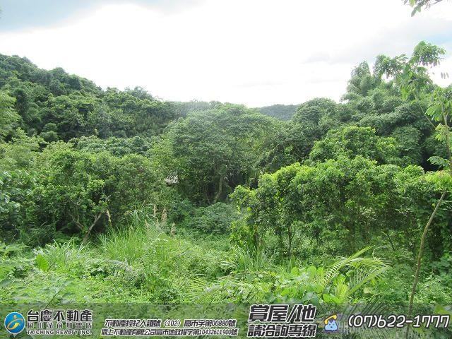 高雄內門農地-12