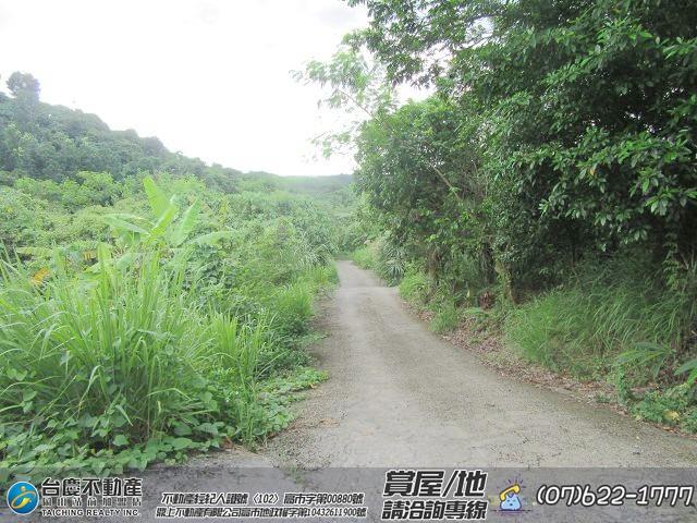 高雄內門農地-2