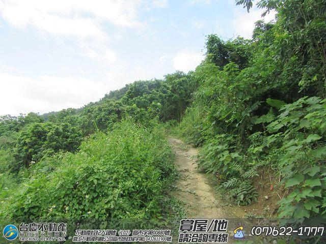 高雄內門農地-6