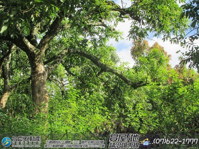 高雄內門農地-7