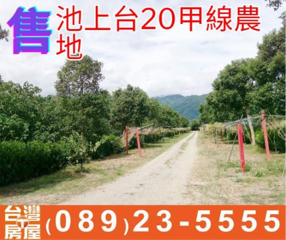 池上台20甲線農地