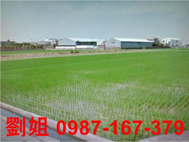 高雄鳥松農地-1