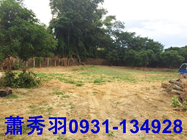 台中后里農地-4