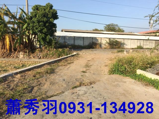 后里農地-4