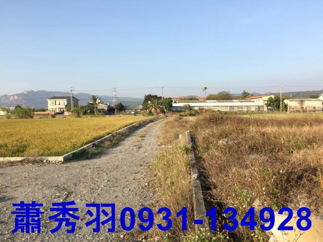 后里農地-2