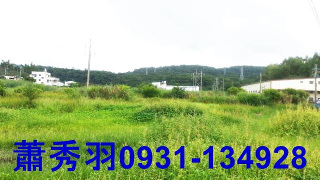 台中農地-2