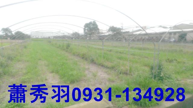 台中后里農地-2