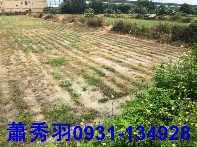 后里農地-3