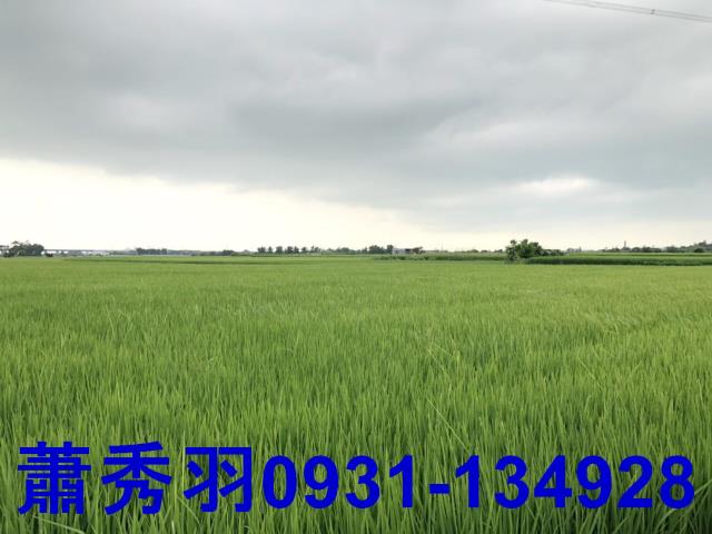 台中外埔農地-1