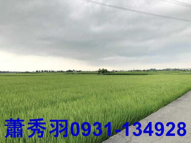台中外埔農地-4