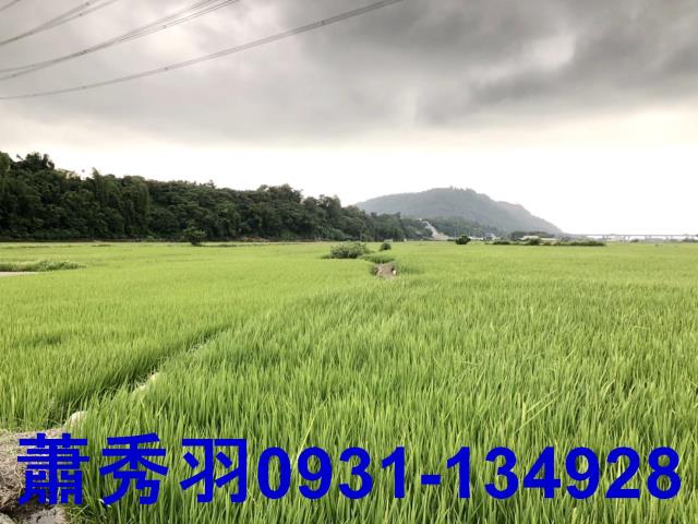 台中外埔農地-3