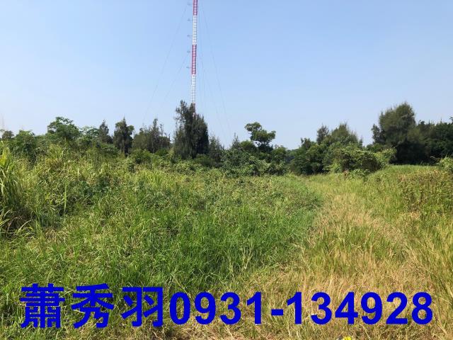 台中外埔農建地-1