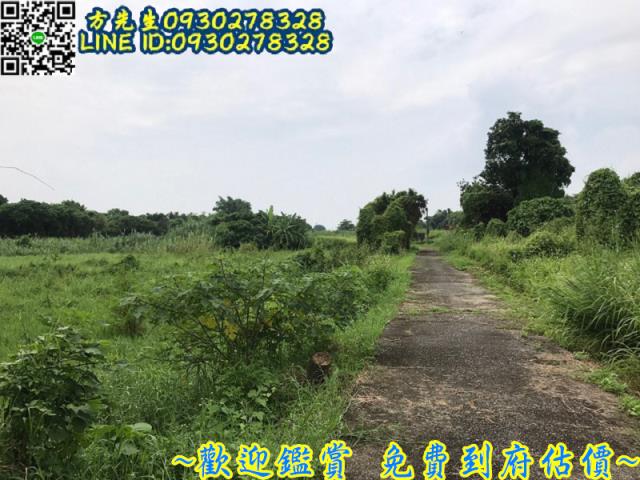 台南官田農地-4