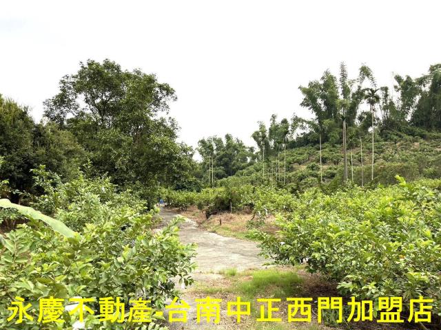 南化農地-12