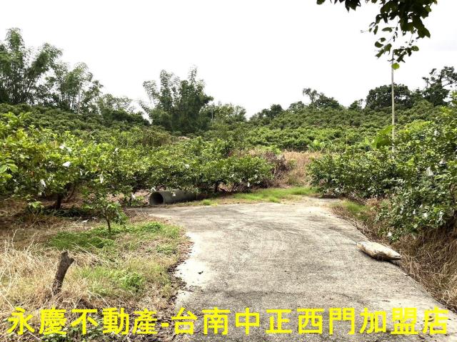 南化農地-3